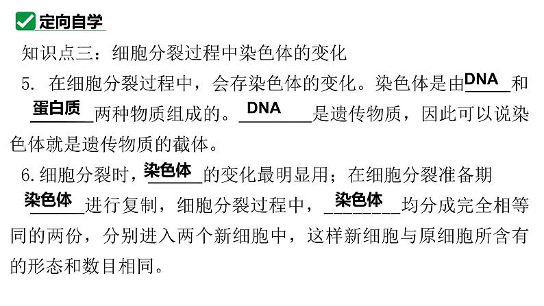 1.3.1细胞通过分裂产生新细胞课件   2024-2025学年人教版（2024）生物七年级上册第5页