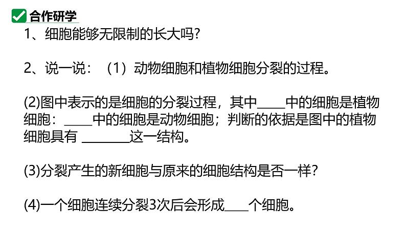 1.3.1细胞通过分裂产生新细胞课件   2024-2025学年人教版（2024）生物七年级上册第6页