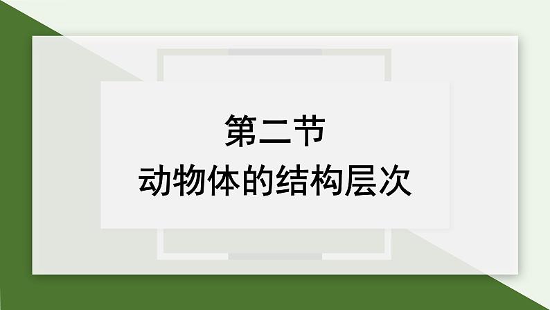 1.3.2 动物体的结构层次 课件 --2024-2025学年人教版（2024）生物七年级上册第1页