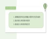 1.3.2 动物体的结构层次 课件 --2024-2025学年人教版（2024）生物七年级上册