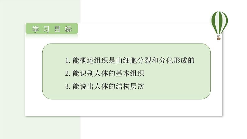 1.3.2 动物体的结构层次 课件 --2024-2025学年人教版（2024）生物七年级上册第2页