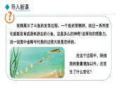1.3.2《动物体的结构层次》课件+教案---2024-2025学年人教版（2024）生物七年级上册