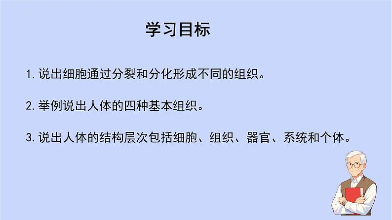 1.3.2动物体的结构层次课件 --2024-2025学年人教版（2024）生物七年级上册第3页