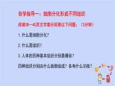 1.3.2动物体的结构层次课件 --2024-2025学年人教版（2024）生物七年级上册