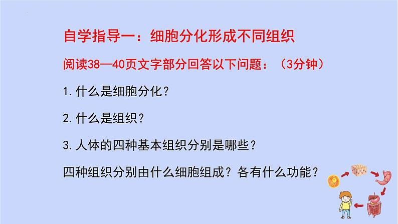 1.3.2动物体的结构层次课件 --2024-2025学年人教版（2024）生物七年级上册第4页