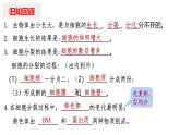 1.3.2动物体的结构层次课件 2024-2025学年人教版（2024）生物七年级上册