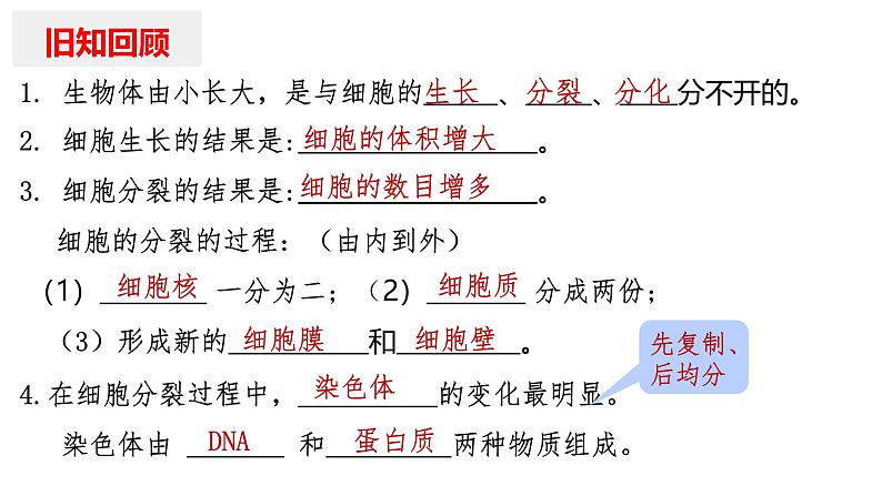 1.3.2动物体的结构层次课件 2024-2025学年人教版（2024）生物七年级上册01