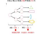 1.3.2动物体的结构层次课件 2024-2025学年人教版（2024）生物七年级上册