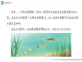 1.3.2 动物体的结构层次课件(内嵌视频1个)---2024-2025学年人教版（2024）生物七年级上册