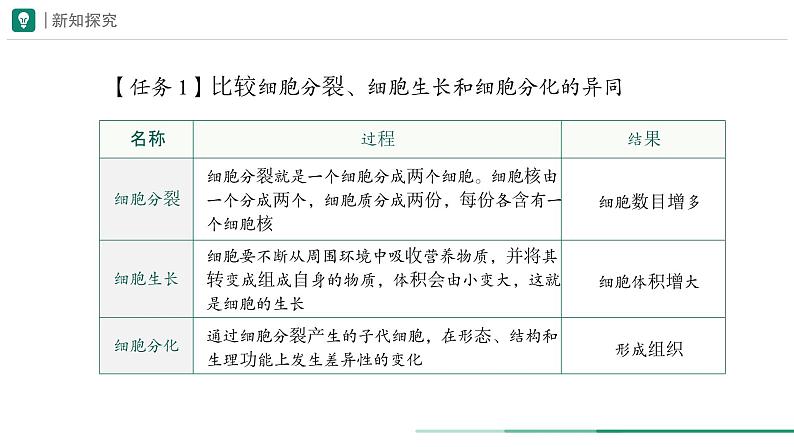 1.3.2 动物体的结构层次课件(内嵌视频1个)---2024-2025学年人教版（2024）生物七年级上册08