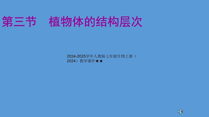 1.3.3 植物体的结构层次课件  ---2024-2025学年人教版（2024）生物七年级上册第1页