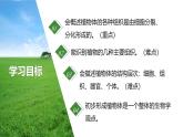 1.3.3 植物体的结构层次课件---2024-2025学年人教版（2024）生物七年级上册