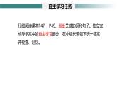 1.3.3 植物体的结构层次课件---2024-2025学年人教版（2024）生物七年级上册