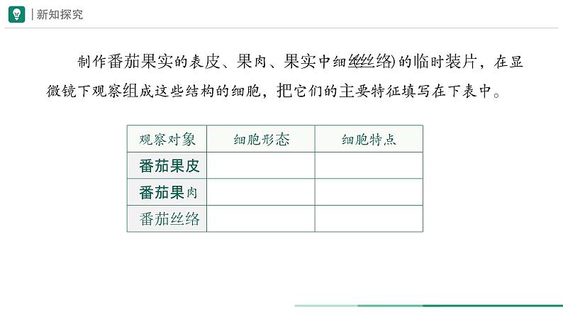 1.3.3 植物体的结构层次课件--2024-2025学年人教版（2024）生物七年级上册第8页