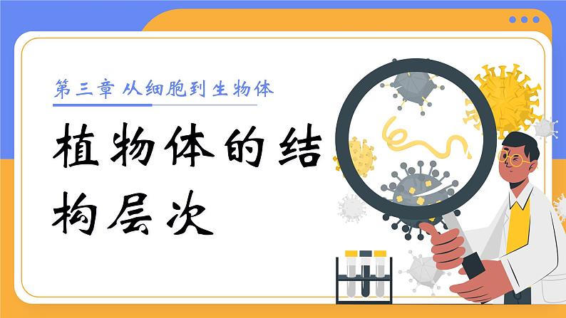 1.3.3 植物体的结构层次（教学设计（表格式）+课件）---2024-2025学年人教版（2024）生物七年级上册01