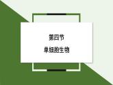 1.3.4 单细胞生物  课件(内嵌视频4个) ---2024-2025学年人教版（2024）生物七年级上册