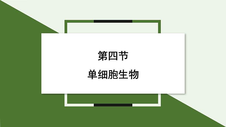 1.3.4 单细胞生物  课件(内嵌视频4个) ---2024-2025学年人教版（2024）生物七年级上册第1页