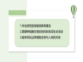 1.3.4 单细胞生物  课件(内嵌视频4个) ---2024-2025学年人教版（2024）生物七年级上册