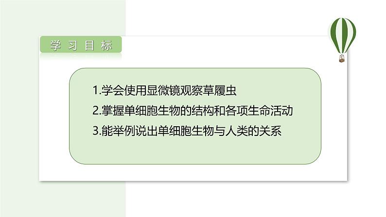 1.3.4 单细胞生物  课件(内嵌视频4个) ---2024-2025学年人教版（2024）生物七年级上册第2页