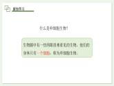 1.3.4 单细胞生物  课件(内嵌视频4个) ---2024-2025学年人教版（2024）生物七年级上册