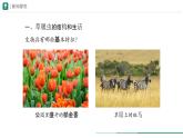 1.3.4 单细胞生物课件--2024-2025学年人教版（2024）生物七年级上册