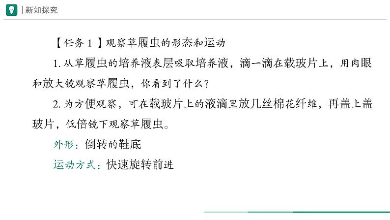 1.3.4 单细胞生物课件--2024-2025学年人教版（2024）生物七年级上册第5页