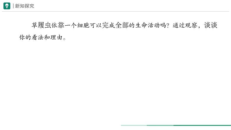 1.3.4 单细胞生物课件--2024-2025学年人教版（2024）生物七年级上册第7页