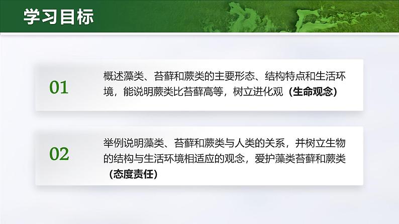 2.1.1 藻类、苔藓和蕨类（教学设计（表格式）+课件(内嵌视频2个)）---2024-2025学年人教版（2024）生物七年级上册03