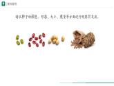 2.1.2 种子植物  课件 第一课时--2024-2025学年人教版（2024）生物七年级上册