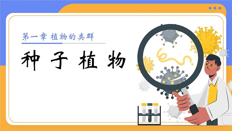 2.1.2 种子植物（教学设计（表格式）+课件）---2024-2025学年人教版（2024）生物七年级上册01