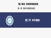 2.1.2种子植物课件(内嵌视频2个) -2024-2025学年人教版（2024）生物七年级上册
