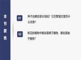 2.1.2种子植物课件(内嵌视频2个) -2024-2025学年人教版（2024）生物七年级上册