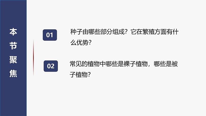 2.1.2种子植物课件(内嵌视频2个) -2024-2025学年人教版（2024）生物七年级上册02