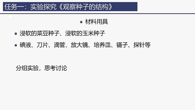 2.1.2种子植物课件(内嵌视频2个) -2024-2025学年人教版（2024）生物七年级上册06