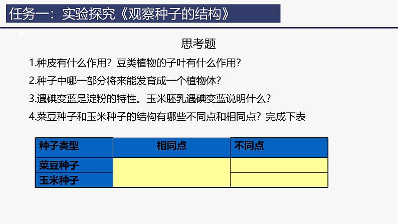 2.1.2种子植物课件(内嵌视频2个) -2024-2025学年人教版（2024）生物七年级上册08