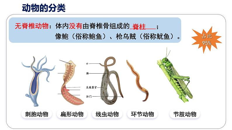 2.2.1 《无脊椎动物》课件(内嵌视频6个)-2024-2025学年人教版（2024）生物七年级上册第5页