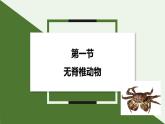 2.2.1 无脊椎动物  课件--2024-2025学年人教版（2024）生物七年级上册