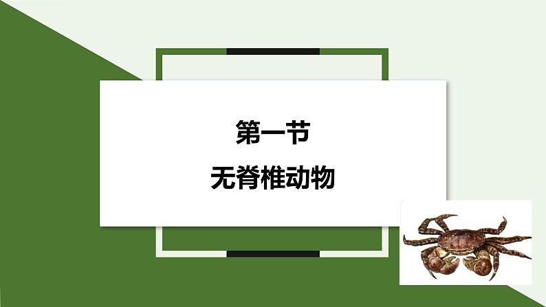 2.2.1 无脊椎动物  课件--2024-2025学年人教版（2024）生物七年级上册01