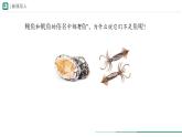 2.2.1 无脊椎动物 第一课时课件--2024-2025学年人教版（2024）生物七年级上册