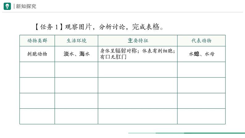 2.2.1 无脊椎动物 第一课时课件--2024-2025学年人教版（2024）生物七年级上册第7页