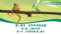 生物人教版(2024)第二节 脊椎动物集体备课ppt课件