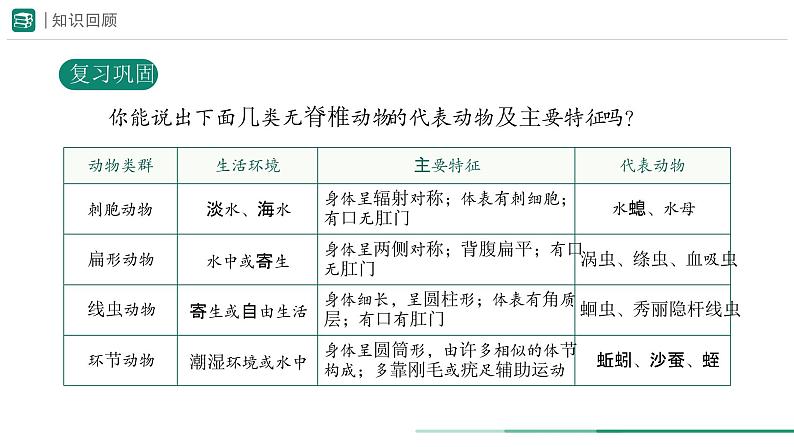 2.2.1 无脊椎动物 课件 第二课时--2024-2025学年人教版（2024）生物七年级上册02