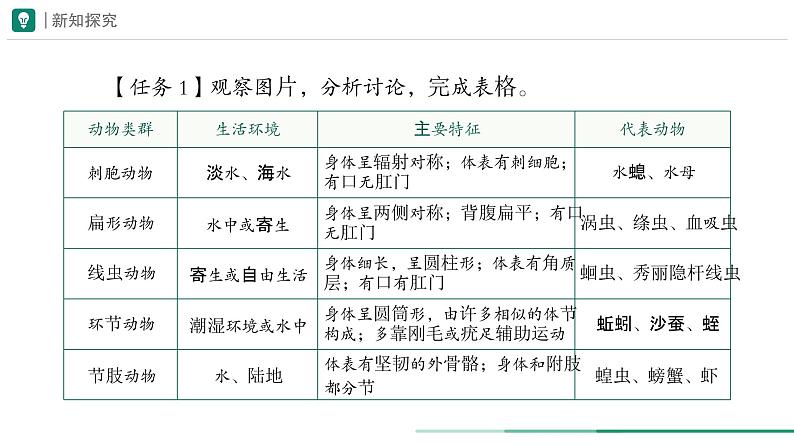 2.2.1 无脊椎动物 课件 第二课时--2024-2025学年人教版（2024）生物七年级上册07