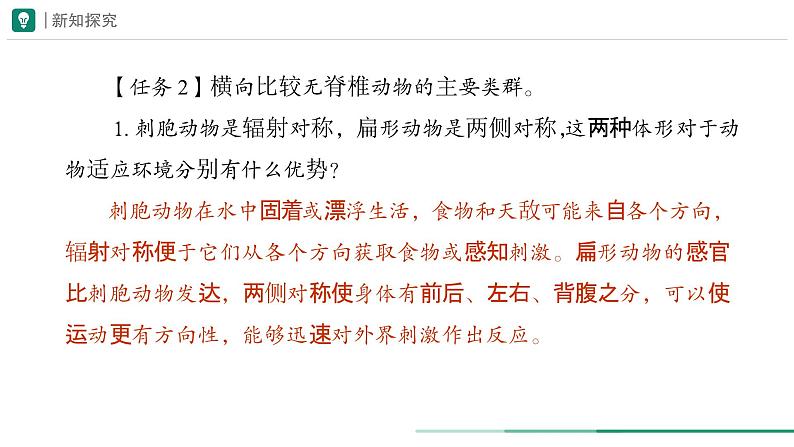 2.2.1 无脊椎动物 课件 第二课时--2024-2025学年人教版（2024）生物七年级上册08