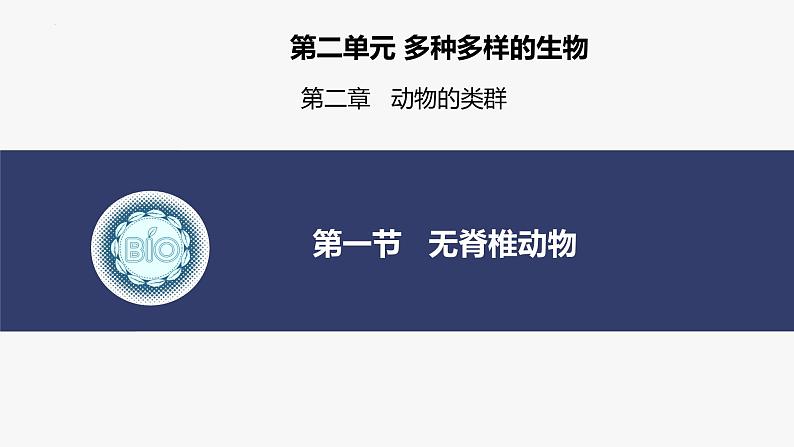 2.2.1无脊椎动物课件--2024-2025学年人教版（2024）生物七年级上册02