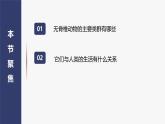 2.2.1无脊椎动物课件--2024-2025学年人教版（2024）生物七年级上册