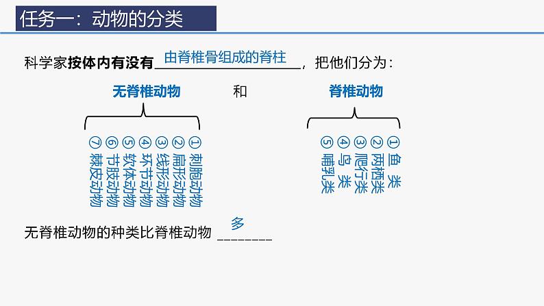 2.2.1无脊椎动物课件--2024-2025学年人教版（2024）生物七年级上册第6页