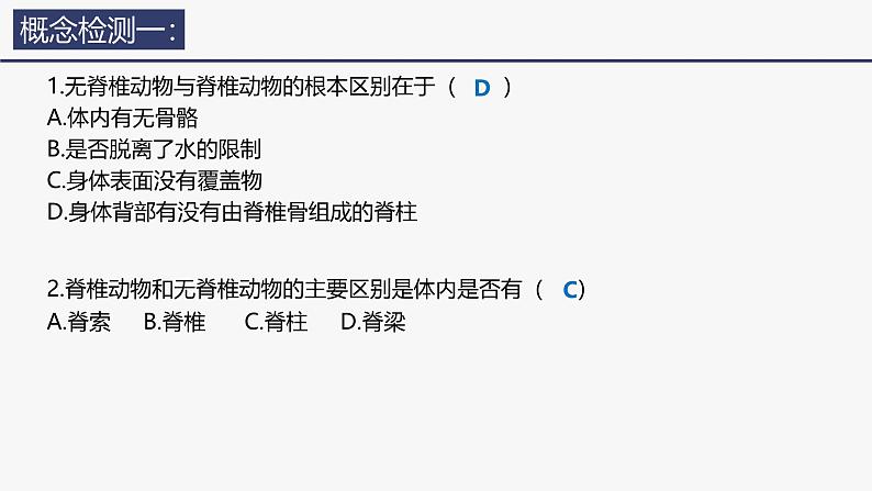 2.2.1无脊椎动物课件--2024-2025学年人教版（2024）生物七年级上册07