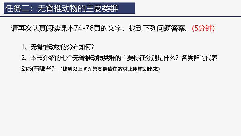 2.2.1无脊椎动物课件--2024-2025学年人教版（2024）生物七年级上册08