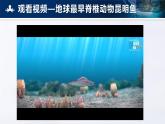 2.2.1 无脊椎动物 课件 （内嵌视频1个）---2024-2025学年人教版（2024）生物七年级上册